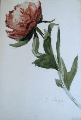 Fleur par Georges Paul Franois Laurent Lauge