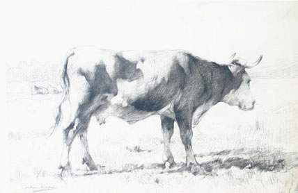 Une vache dans un pr par Julien Dupr