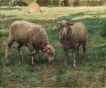 Deux Moutons